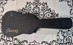 Ibanez Acoustic Guitar Case Tkl Hardshell. Fixed Price $115.00.