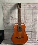 Yamaha G-55A Classical Acoustic Guitar With Hard Case Read Below. Fixed Price $35.99.