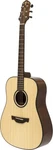 Able Series 600, Dreadnought Acoustic Guitar With Solid Spruce Top, Left Hand. Fixed Price $249.99.