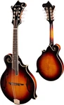 Eastman MD815/V F-hole Mandolin Antique Sunburst *free Shipping The Usa*. Fixed Price $2669.00.