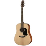 Walden D350 - Acoustic Guitar. Fixed Price $219.00.