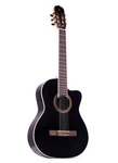 Tagima Ws 12 Eq-bk Nylon String Black. Fixed Price $299.99.