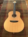 James Goodall Guitar. Fixed Price $9999.99.