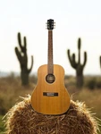Greco Acoustic Guitar Model GAJ-30P Nat With Gigbag. Fixed Price $599.95.