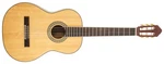 Peavey Delta Woods CNS-2 Classical Nylon String Guitar. Fixed Price $279.99.
