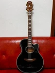 Yamaha APX900MBL Hard Case Eco Safe Packing!. Fixed Price $857.00.