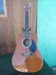 Vintage Montana Acoustic Guitar Model M18-W. Fixed Price $199.99.