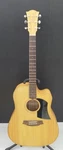 Cole Lark FL1AC Electric Acoustic Guitar. Fixed Price $1265.18.