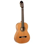 Ortega R20GRG Concert Guitar. Fixed Price $828.87.