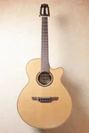 Takamine / P3FCN Electric Gut Guitar Made Japan. Fixed Price $1418.60.