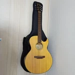 Fender GDC-200SCE Nat Acoustic Guitar With Case. Fixed Price $540.76.
