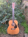 Unique Octave Mandolin Conversion Of Used Yamaha FG-365SII. Fixed Price $449.05.