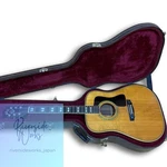 Guild Dv 72-NT With Hard Case. Fixed Price $7553.64.