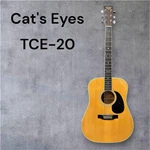 Tokai Cats Eyes TCE-20 Acoustic Guitar Japan Vintage With Hard Case. Fixed Price $449.00.