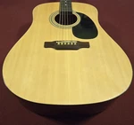 Epiphone * PR-100 Nat Custom Dreadnought Acoustic Guitar With Hard Case. Fixed Price $200.00.