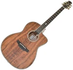 Takamine The 60TH Anniversary Limited Edition Guitar. Fixed Price $12999.99.