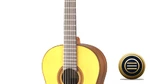 Yamaha CG162S Guitar Japan Safe Classical Delivery Top Spruce Case Natural Back. Fixed Price $277.89.