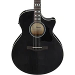 Ibanez AE170 Acoustic Electric Guitar - Transparent Black. Fixed Price $579.99.