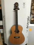 Washburn Woodline Orchestra O11S Acoustic Guitar New - Solid Top Local Pickup. Fixed Price $299.00.