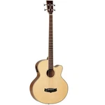 Tanglewood TW8AB Winterleaf Acoustic Electric Bass Guitar. Fixed Price $499.99.