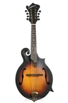 Washburn Americana M108SW - Vintage Natural. Fixed Price $899.00.