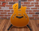 Taylor Limited Edition T5-C Aztec Gold 2006 W/ohsc. Fixed Price $2199.99.