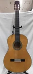 Angelica CG-120 Acoustic Guitar. Fixed Price $192.99.