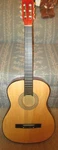 Vintage Encore Classic Acoustic Guitar 40" With Gig Case. Fixed Price $207.40.