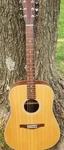 Eastman AC220 Dreadnought Acoustic Guitar With Gig Bag. Fixed Price $565.00.