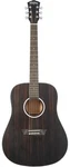 Washburn Dreadnought Acoustic Guitar, Striped Ebony. Fixed Price $369.00.