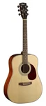 Cort EARTH70OP Series Acoustic Dreadnought Guitar. Open Pore. Fixed Price $339.99.