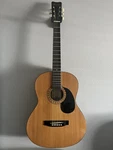 Hohner HW200 Acoustic Guitar. Fixed Price $115.00.