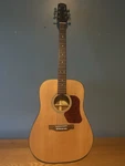 Walden Natura D550T Dreadnought 6-STRING Acoustic Guitar. Fixed Price $173.00.