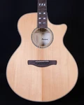 Ibanez AE170 Acoustic Electric, Natural. Fixed Price $549.99.