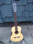 Recording King RP-G6 Parlor Acoustic Guitar (open Box / Used). Fixed Price $319.99.