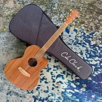 Cole Clark Studio SAN1EC-BLBL Acoustic-electric Guitar, Blackwood, Namm. Fixed Price $1599.00.