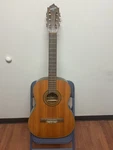 Vintage Conqueror Acoustic Guitar With Carrying Case 6 Strings. Fixed Price $124.99.
