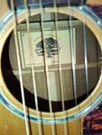 Tanglewood TW73 Classical Guitar 6 String Brown Standard Body With Case. Fixed Price $530.00.