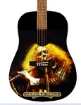 Jethro Tull Custom Guitar. Fixed Price $329.00.