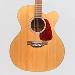 Takamine GJ72CE-12 Series Jumbo Cutaway 12-STRING Acoustic-electric Guitar. Fixed Price $699.00.