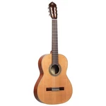 Ortega R18G Concert Classical Guitar. Fixed Price $752.14.