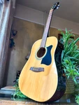 Ibanez V50JP-NT-14-01 6-STRING Acoustic Guitar Natural 2014 W/ Case & Strap. Fixed Price $140.00.