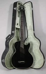 Washburn AB-20 Acoustic-electric Bass Black W/hsc. Fixed Price $725.00.