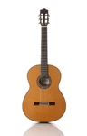 Cordoba C10 Cd/in Acoustic Nylon String Classical Guitar. Fixed Price $1599.99.