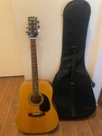 Beautiful Mitchell Acoustic 6 String Guitar Soft Case Model # MD100 Full Body. Fixed Price $139.00.