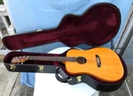 Recording King Dreadnought Guitar A3M (great Deal!). Fixed Price $500.00.