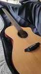Breedlove Passport C250/CME Acoustic-electric Guitar. Fixed Price $600.00.