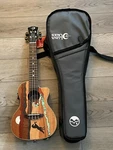 Luna Guitars Vista Stallion Concert A/e Ukulele W/ Gigbag, New!. Fixed Price $369.00.