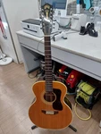 Guild F-212NT 12-STRING Electric Guitar. Fixed Price $2623.99.