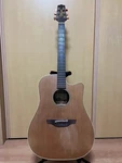 Electric Acoustic Guitar Takamine EAN10C Natural. Fixed Price $3280.00.